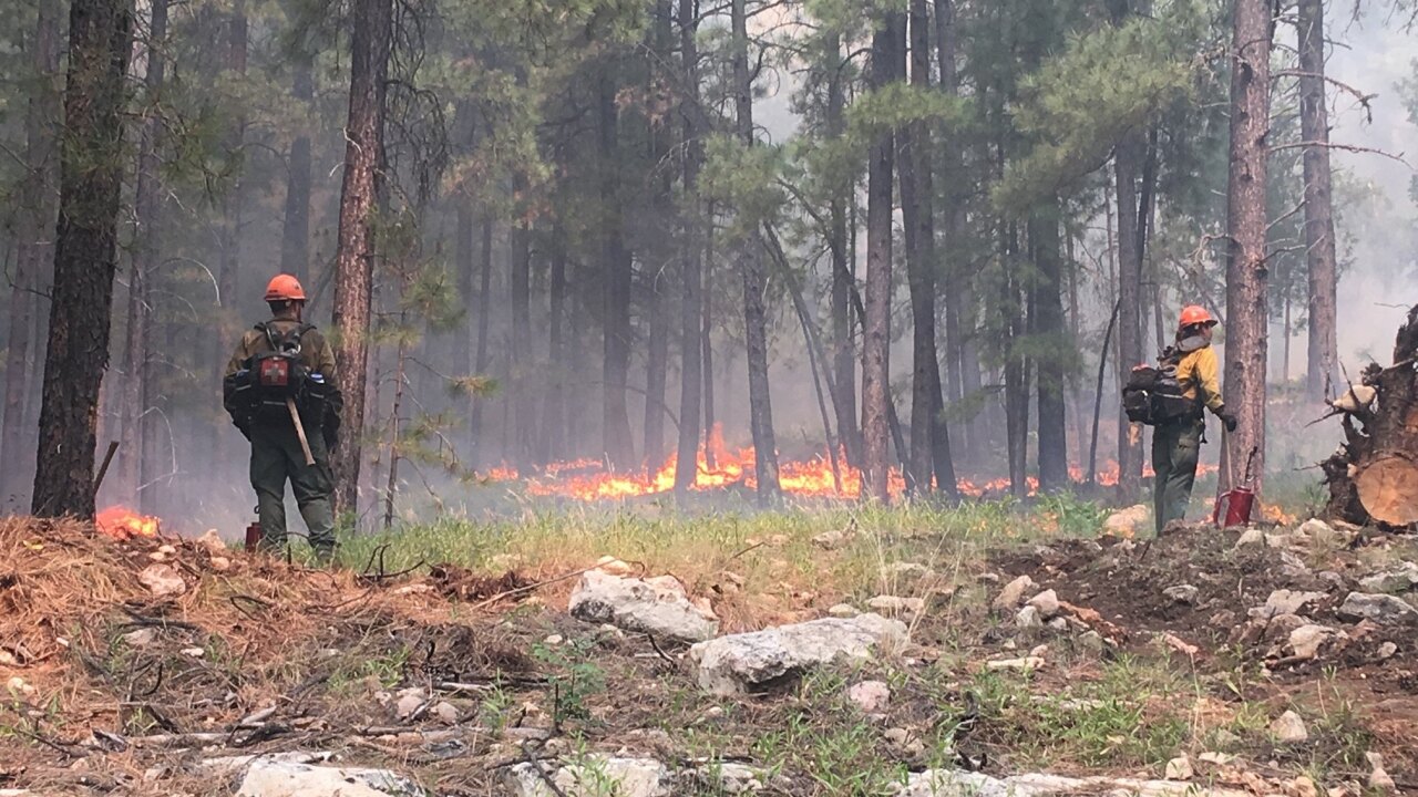 KNXV Whiskey Fire 9-13-19