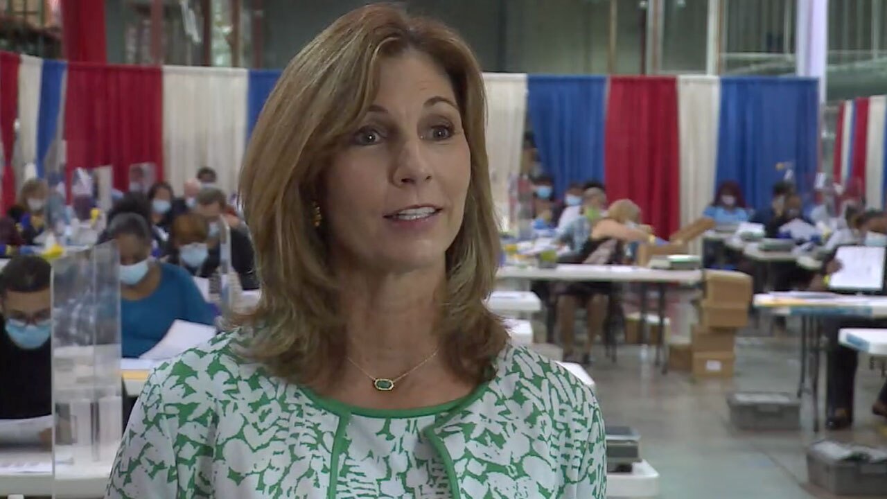 Palm Beach County Supervisor of Elections Wendy Sartory Link