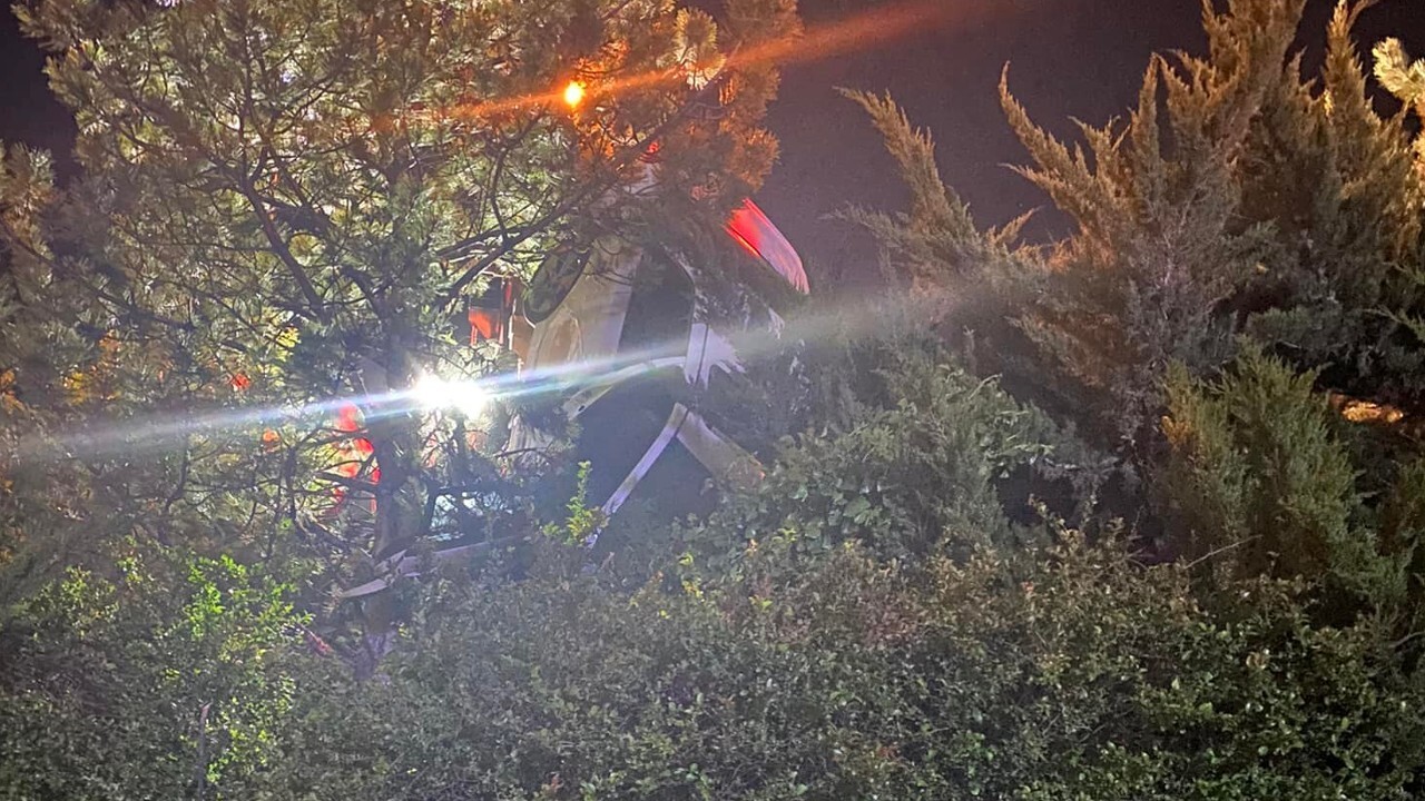 Car stuck in tree in Pleasant Grove.jpg