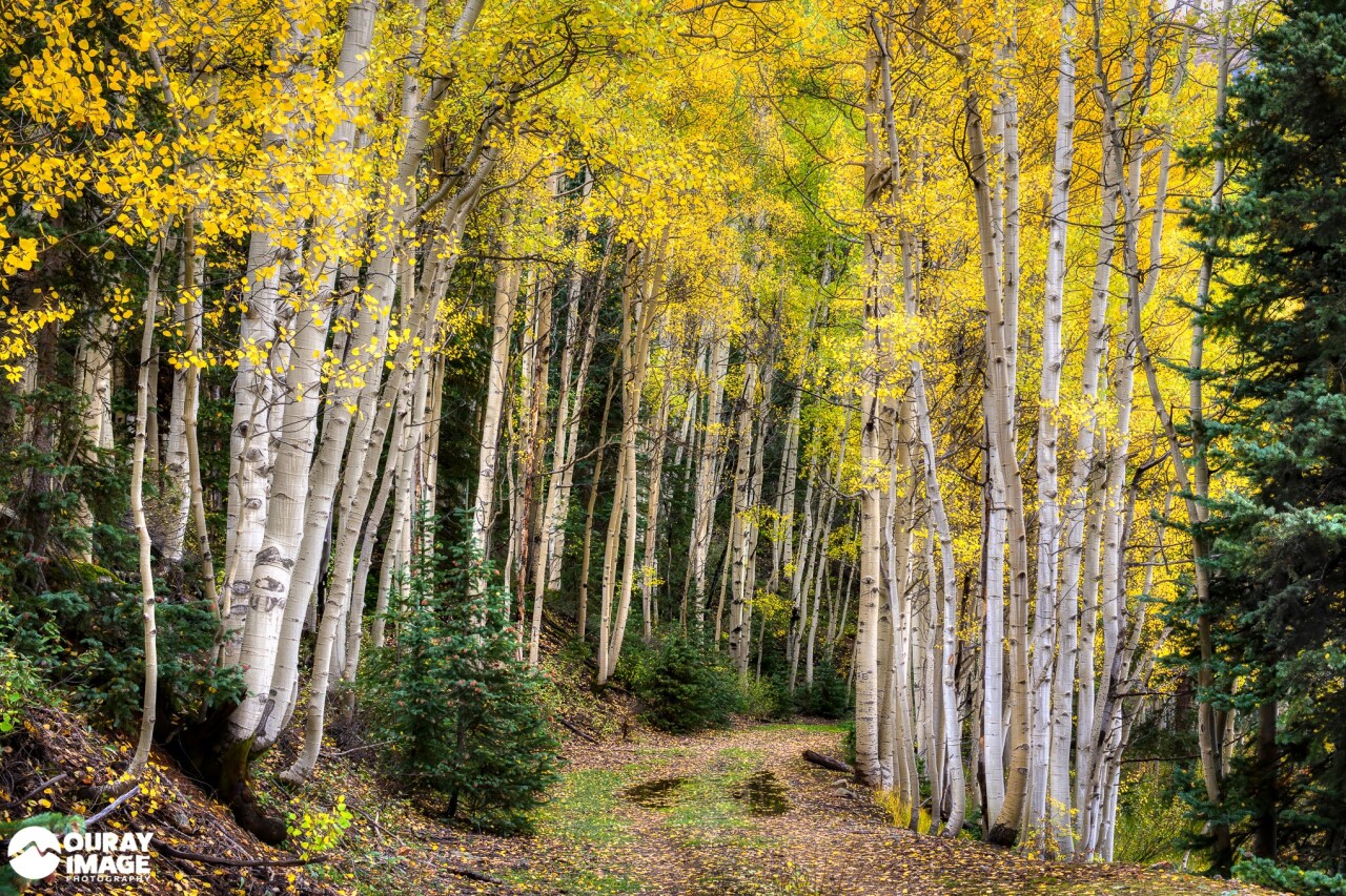 Red Mountain Valley near Ouray | Gary Ratcliff