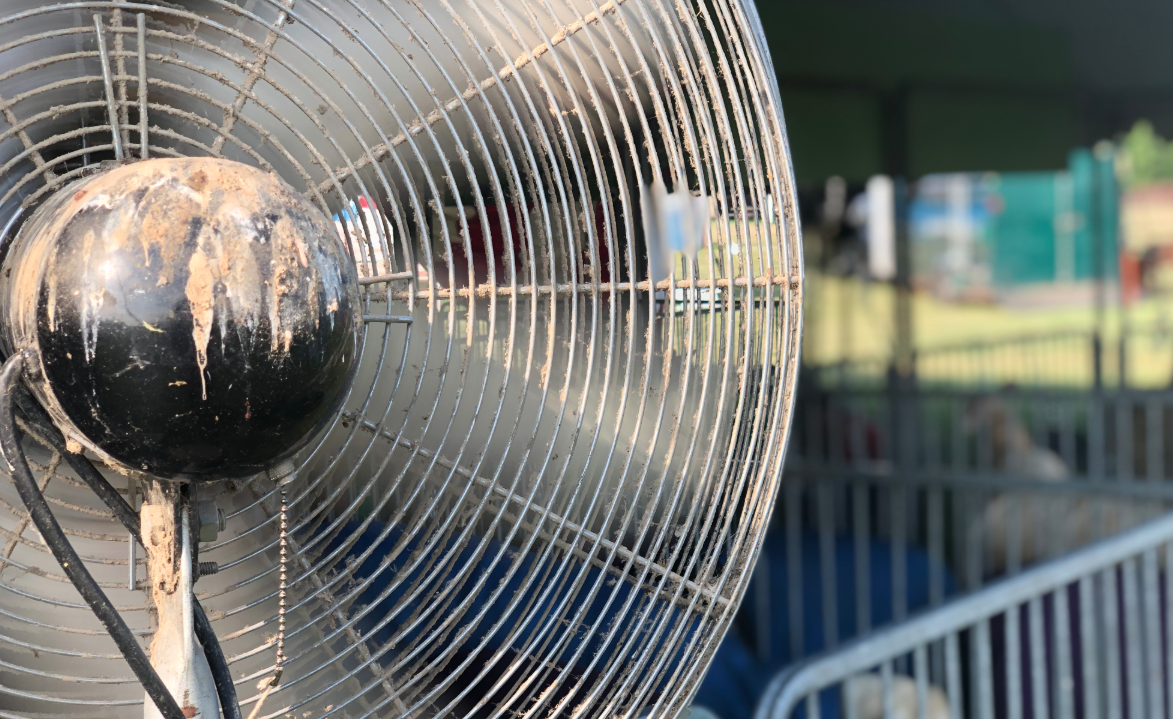 Fan at Waukesha County Fair