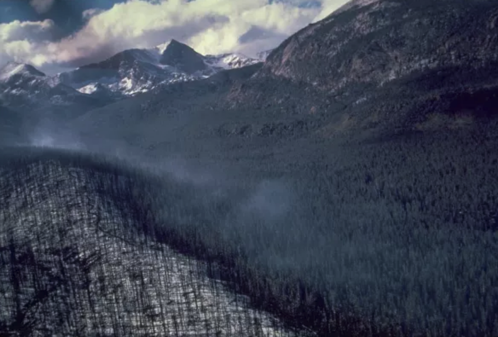 The Ouzel Fire burned 1,050 acres of forest in Wild Basin in 1978.