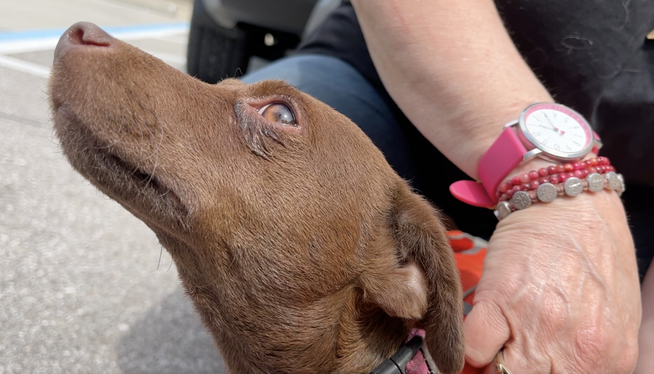 Screen Shot 2024-04-18 at 6.07.45 PM.png