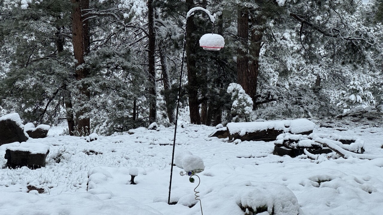 Paula Frazer Guffey snow