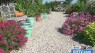 Weekend Flower Fest benefits comfort dog,charity