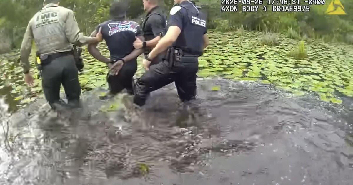 Hit-and-run suspect arrested after manhunt through Palm City swamps and brush