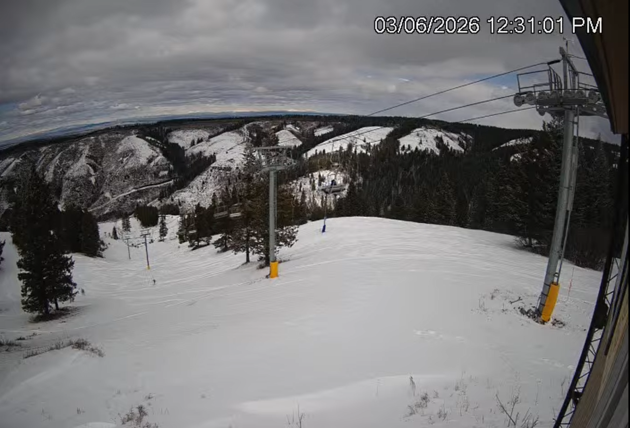 Screenshot 2026-03-06 123110.png