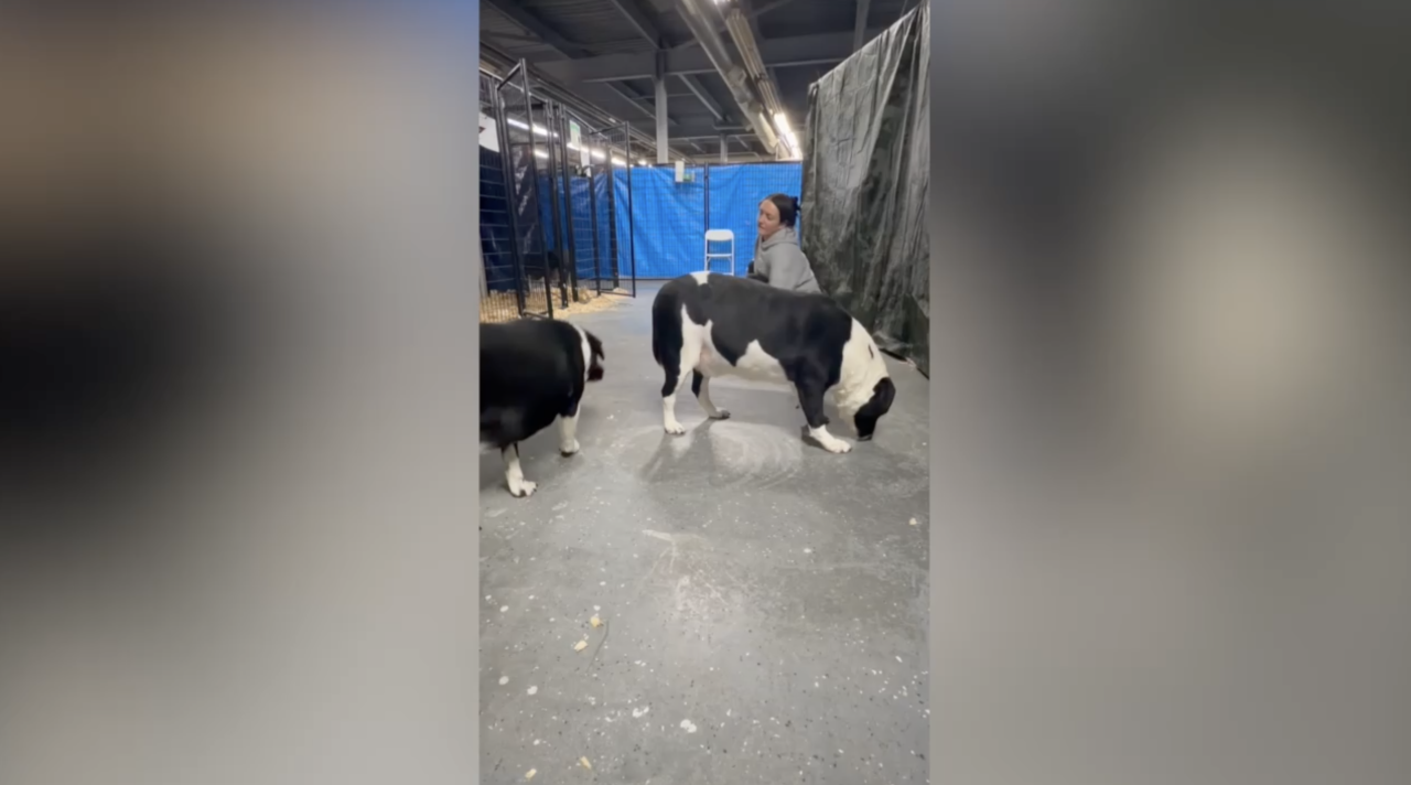 Screenshot 2026-02-06 at 6.08.49 PM.png