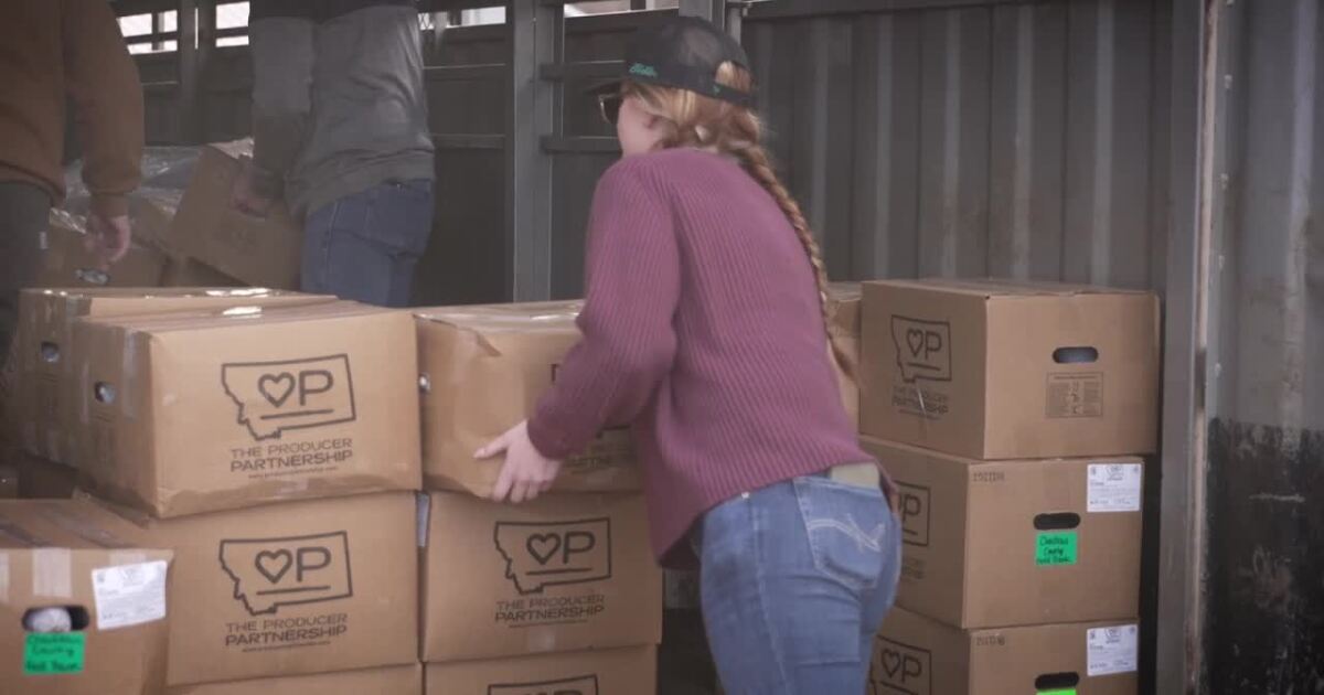 Over 1,600 Pounds of Pork Donated to Chouteau County Food Bank: A Generous Boost for Local Families!