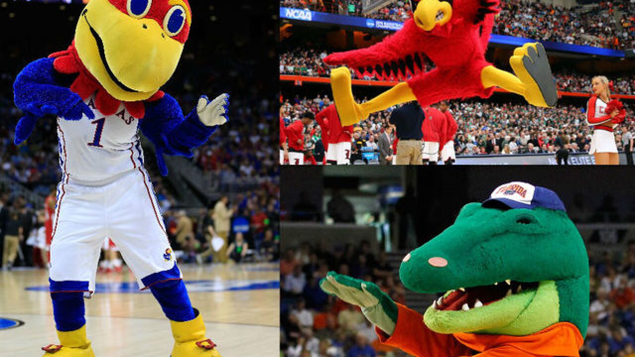 quiz which college mascot are you