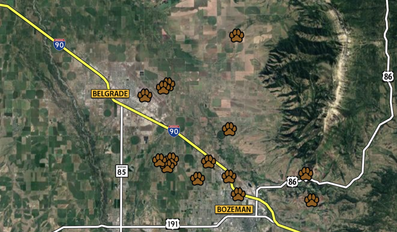 Screenshot 2024-08-15 at 11.40.28 AM.png