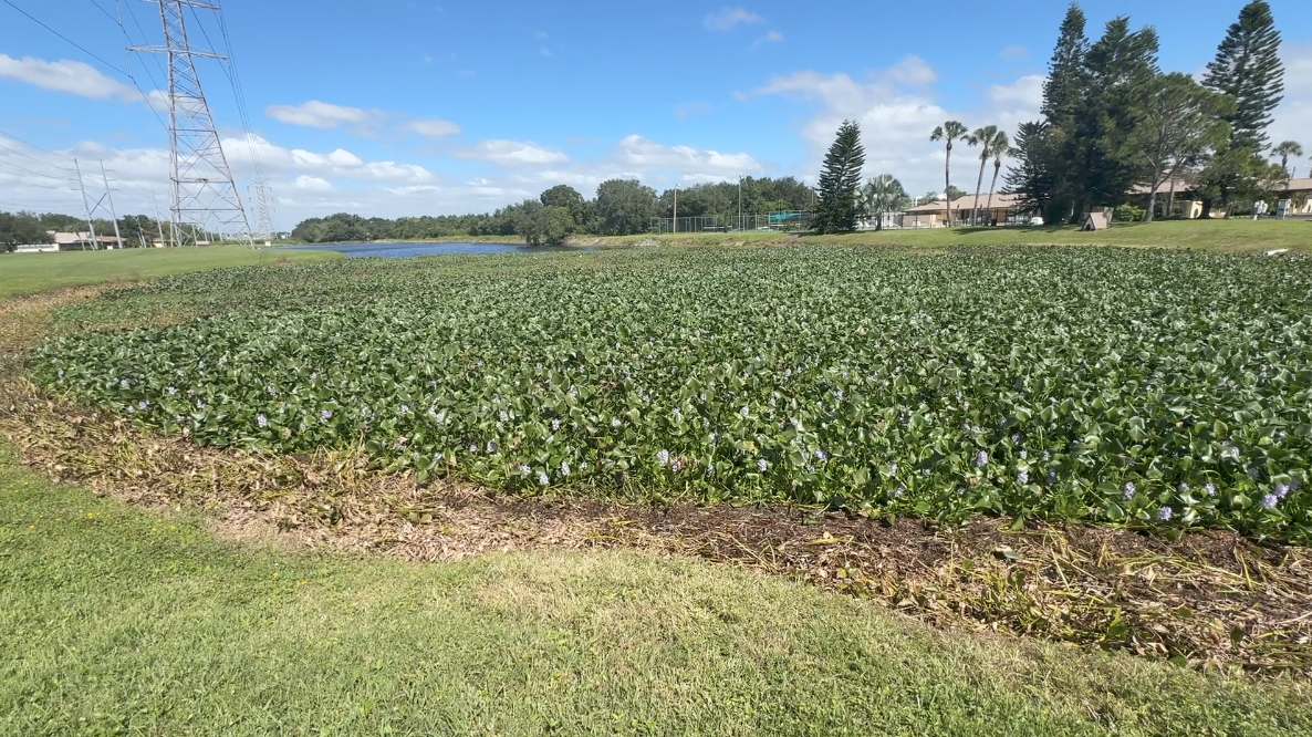 Neighbors are worried about canals in Largo