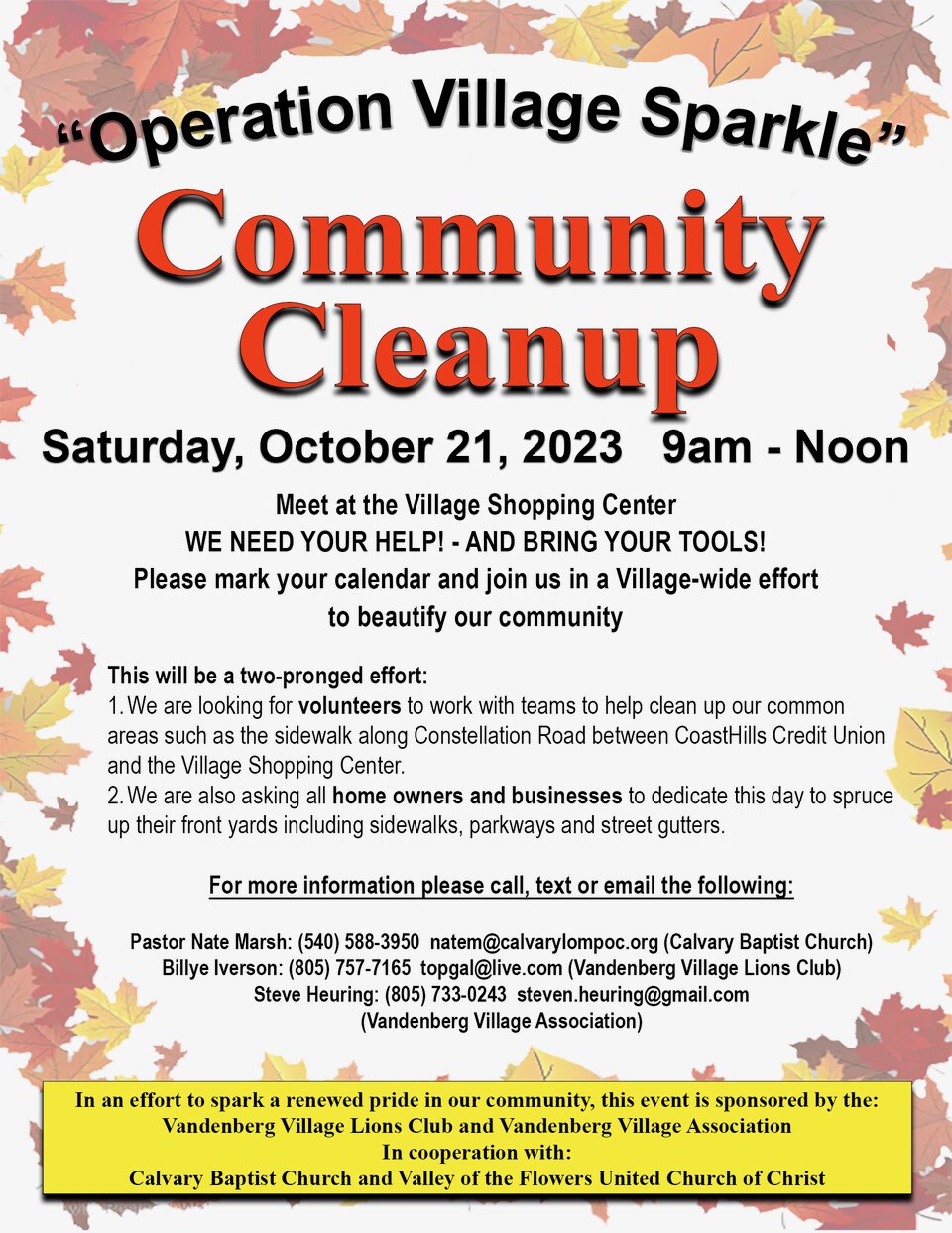 Village Cleanup Poster-ver6(1).jpeg