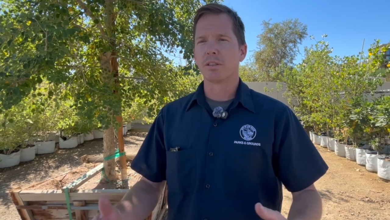 Las Vegas looks to thousands of new plants to bring shade to city’s east side