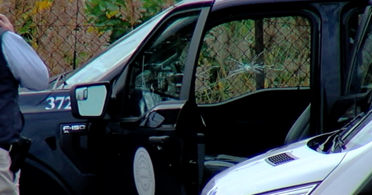 'It has to stop:' Reaction to I-190 shooting - Vimarsana News