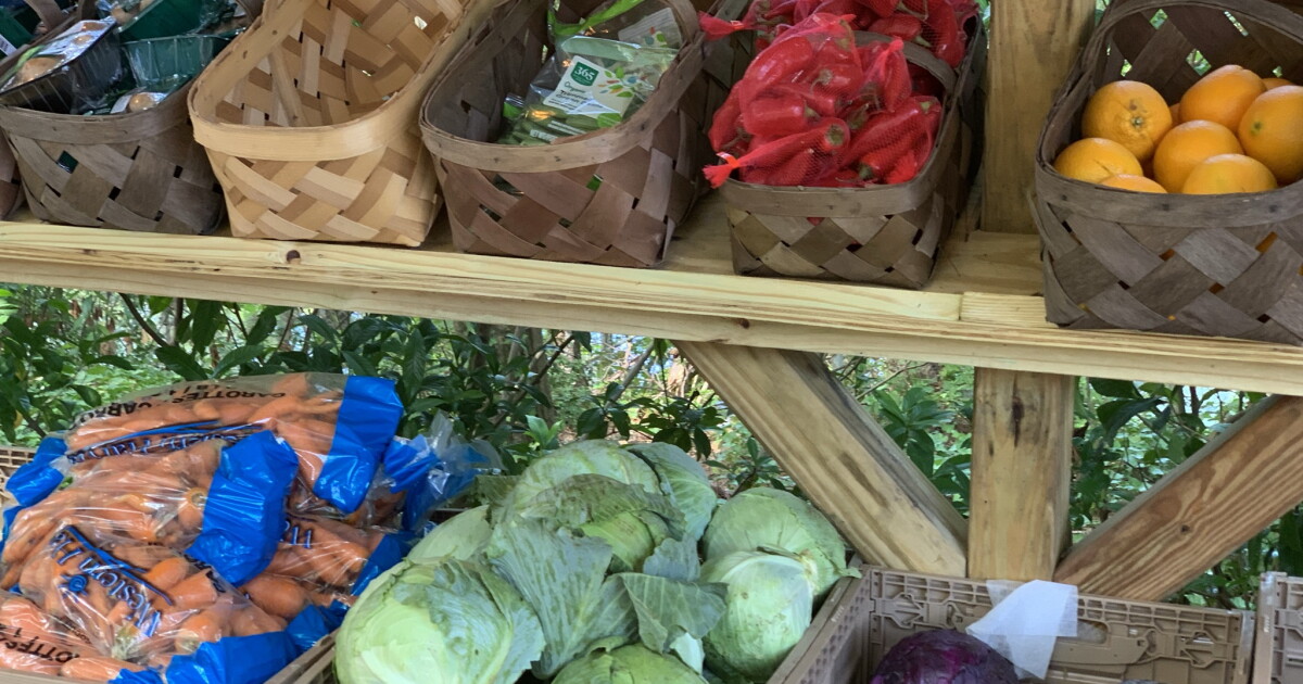 Active duty military members can get free boxes of food at Hampton distribution - Vimarsana News