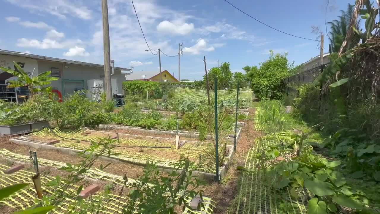 Cultivate Abundance Immokalee food desert