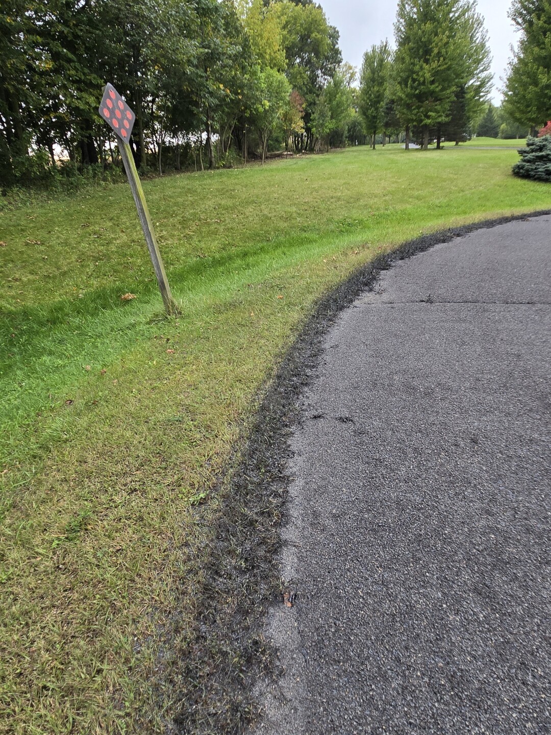 Town of Jackson addresses chip seal debris concerns on Red Fox Lane after viewer complaint