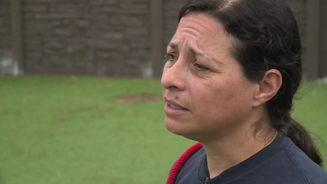 Roxana Villavedra has been caring for the golden retrievers at Big Dog Ranch Rescue. March 18, 2024