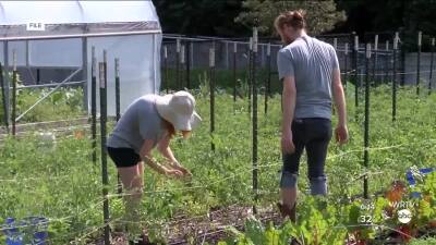 young grow getters