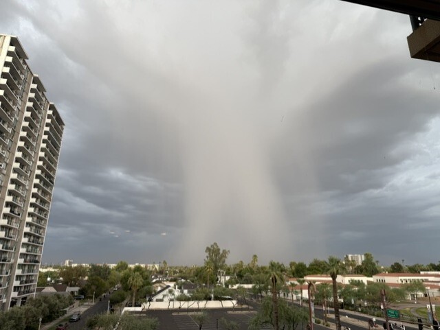 brant k phoenix.jpg