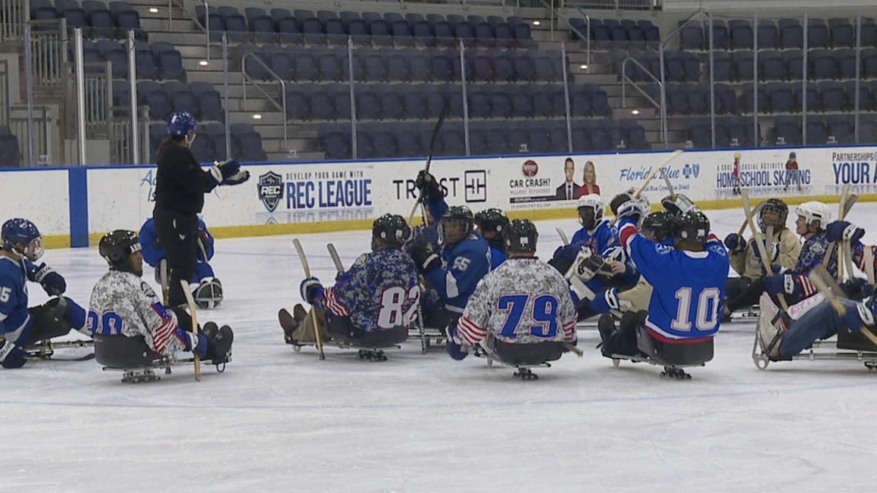 Sled Hockey 1.png