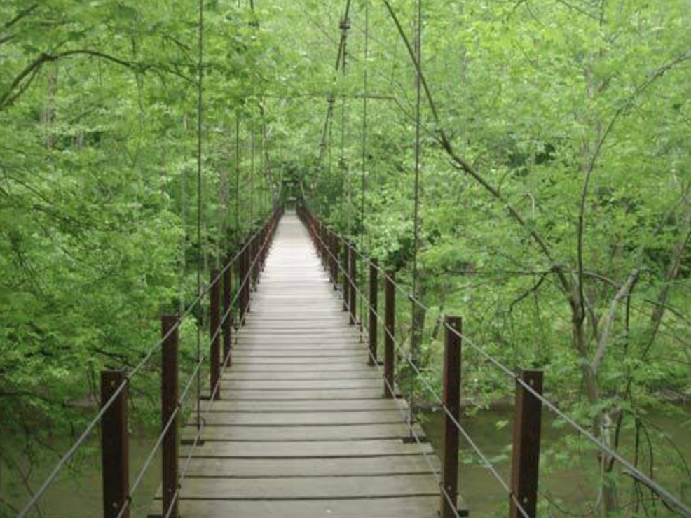 Swinging Bridge in Orange Grove section of Patapsco Valley State Park