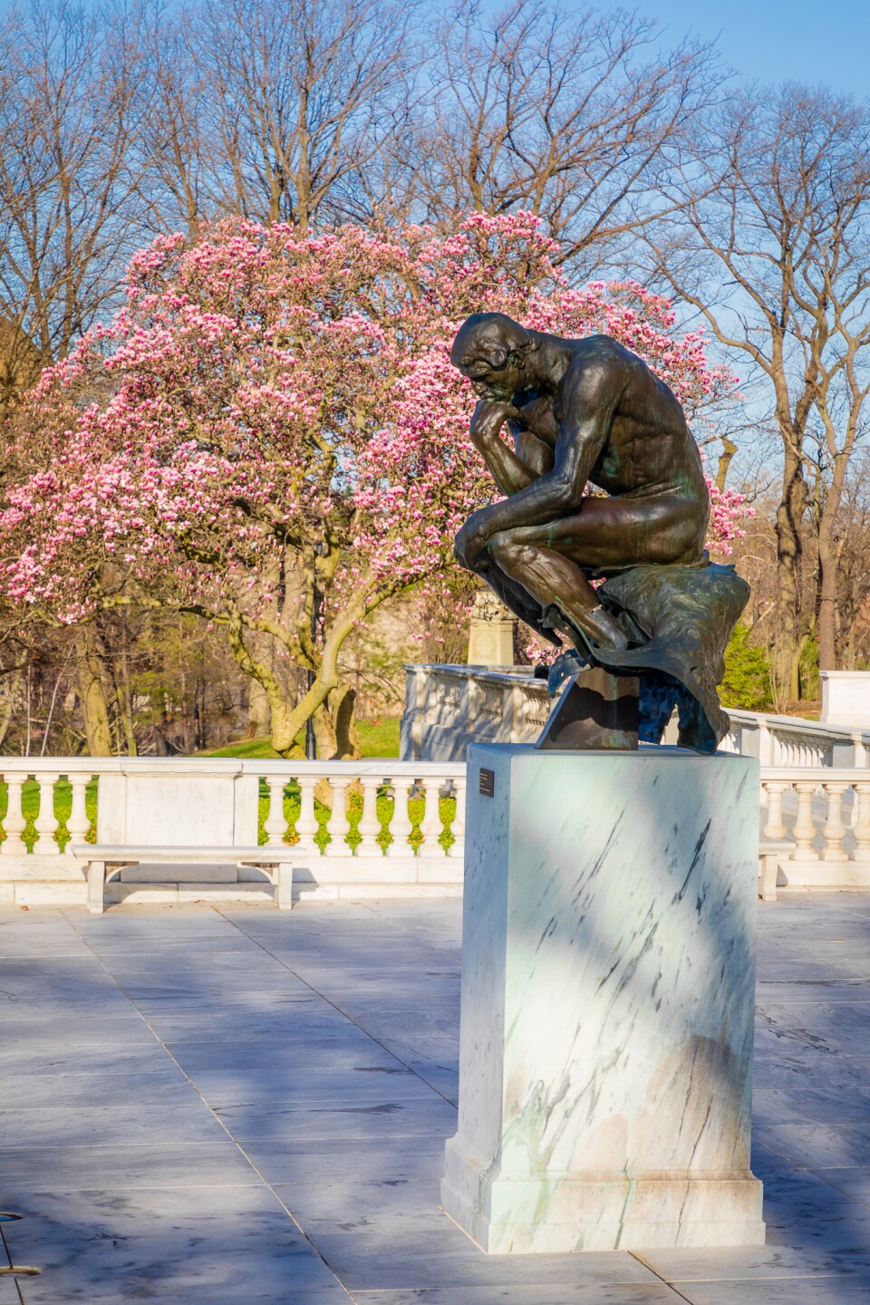 4-13-19 - Wade Oval41-2.jpg