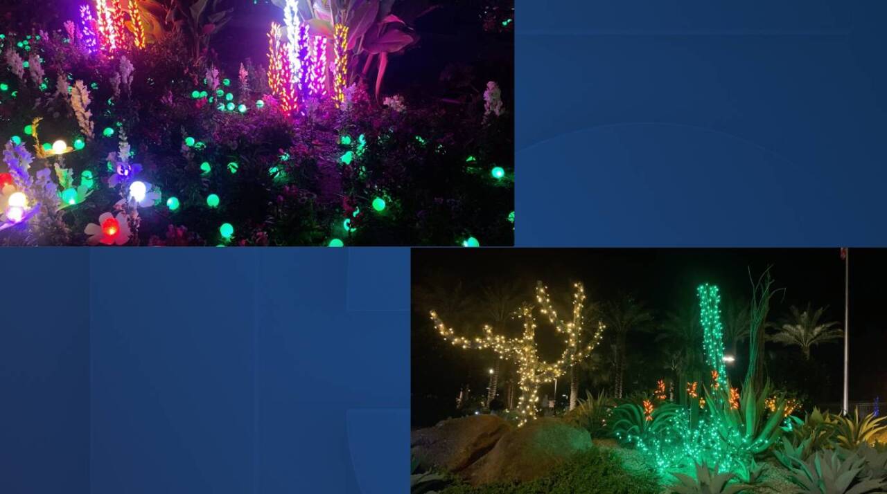 The team’s goal was to mimic the natural beauty of the garden with lights.