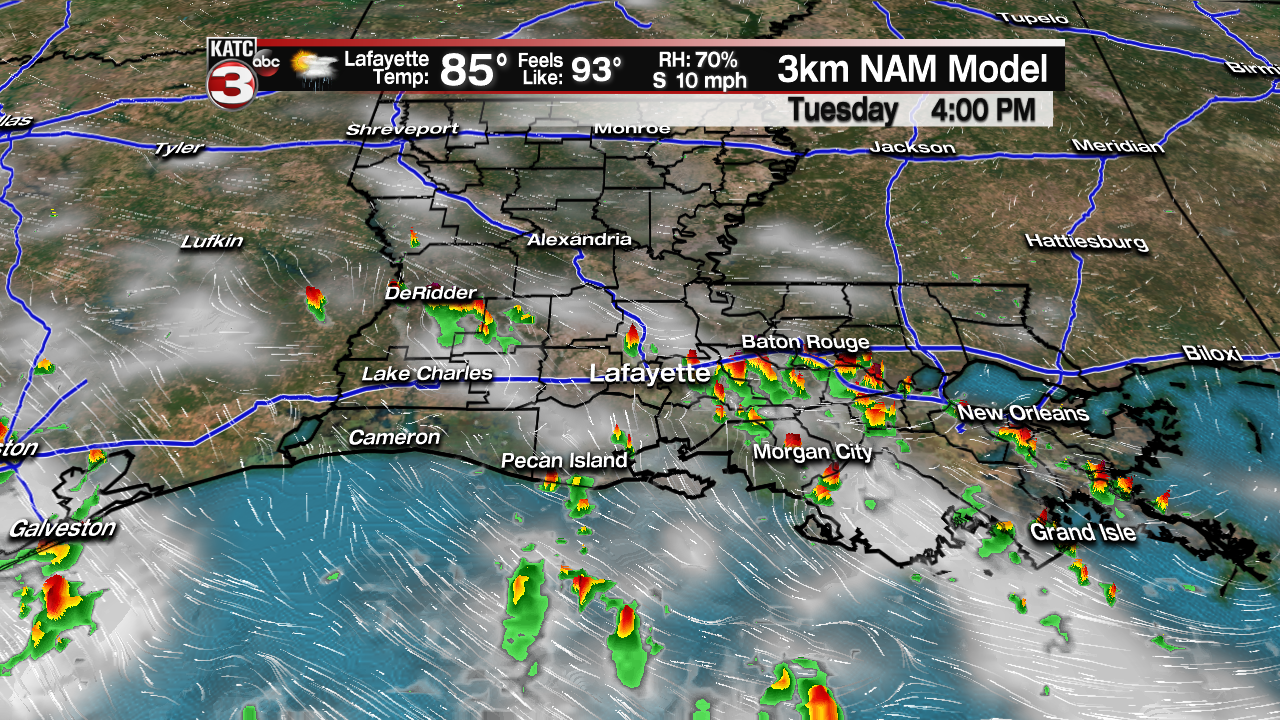 NAM Futurecast Robtues.png