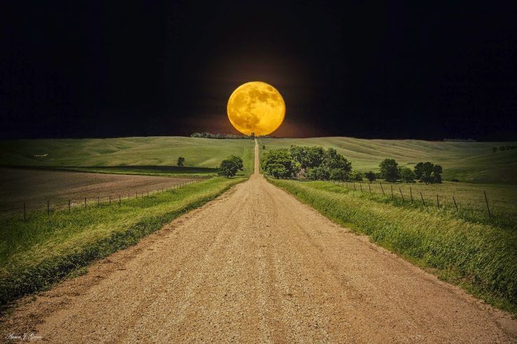 Harvest Moon Photo Credit To Maryland Dept. of Agriculture