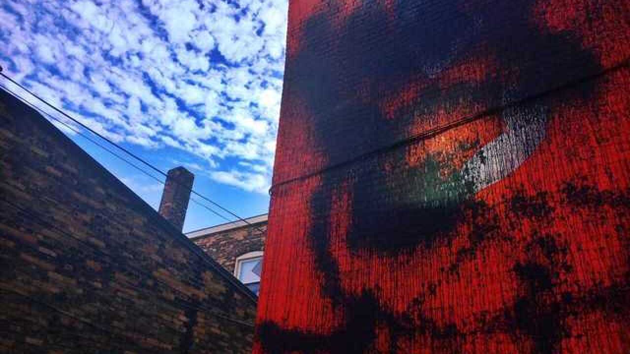 Black Cat Alley Mural On Milwaukee S East Side Vandalized