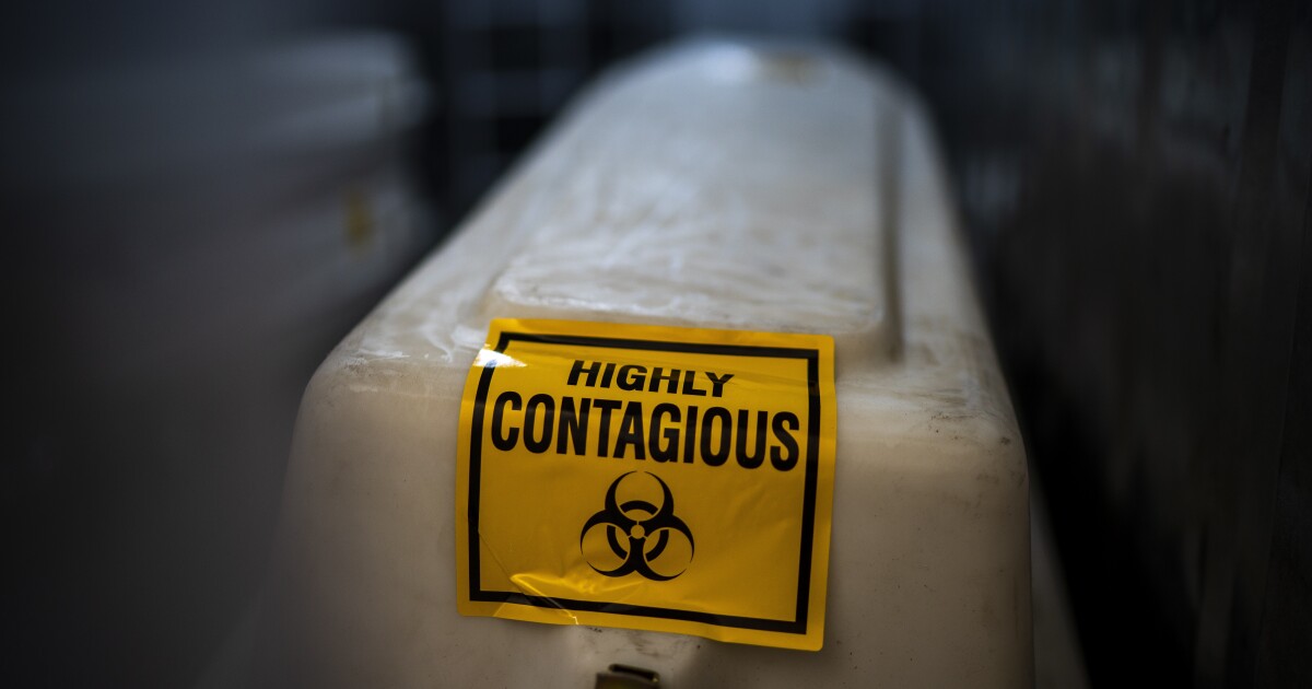 La nuova alternativa colpisce lo sport non appena si avvicina alla vita normale La nuova alternativa colpisce lo sport non appena si avvicina alla vita normale