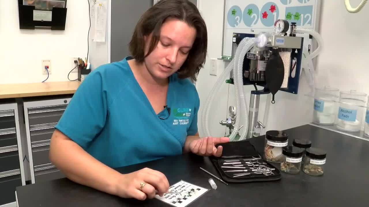 Caitlin Bovery from Gumbo Limbo Nature Center shows plastics found in Queen Elizabeth