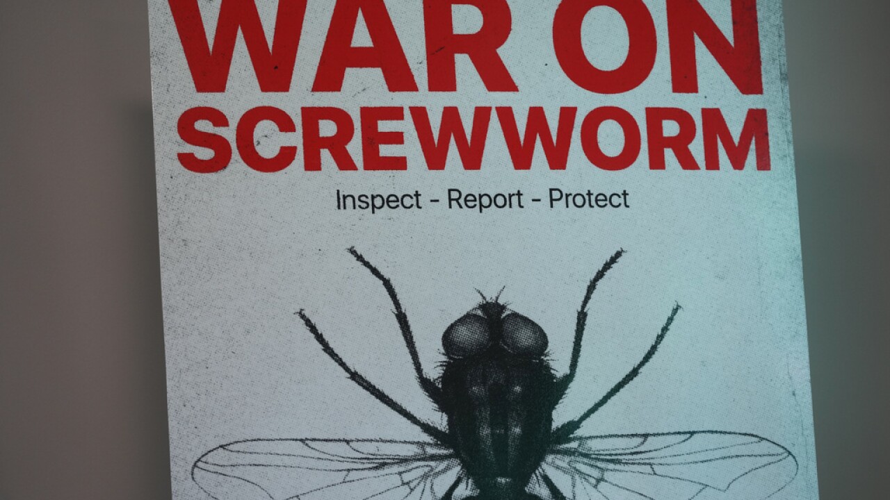 Screwworm Livestock