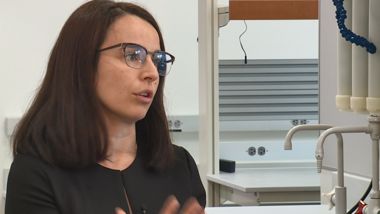 Dr. Kamena Kostova - Stowers Institute