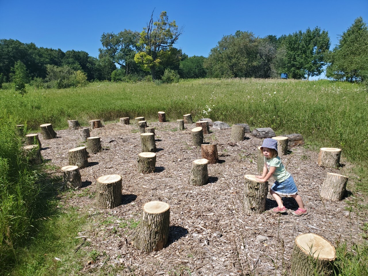 TREE STUMP PIC.jpg