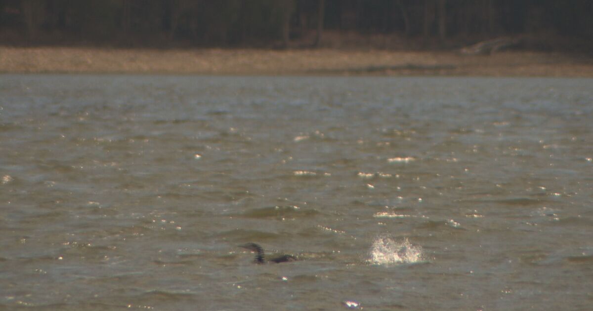 Fishing without a license offered Saturday in Tennessee