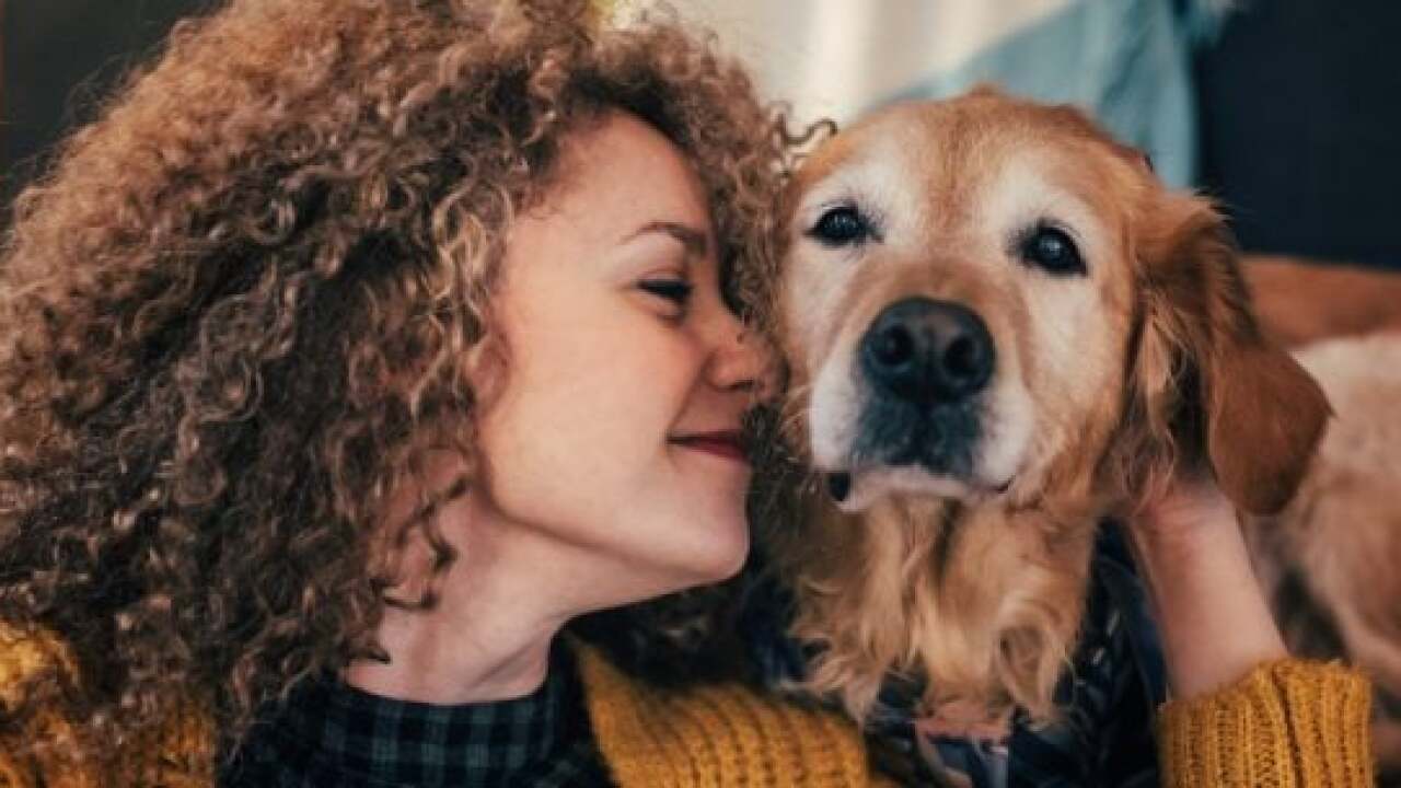 Pet Insurance Can Be Your Wallet S Best Friend