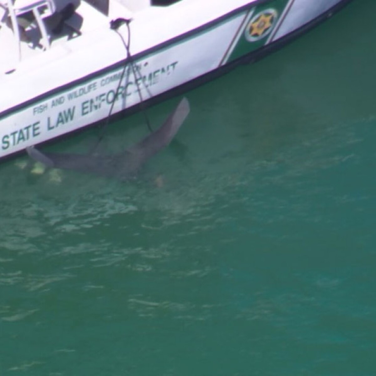 Three People Rescued From Helicopter Crash Off Anna Maria