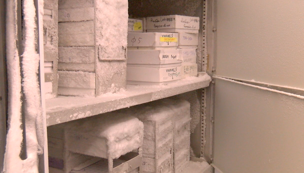 Many antibiotic-resistant bacteria were housed in this -80 degree freezer