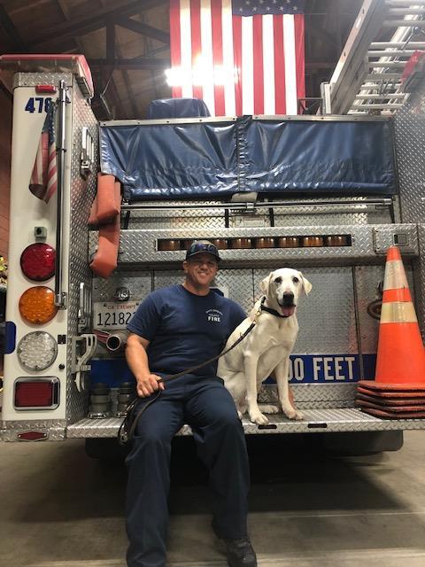 RILEYSEARCH DOG 2.jpg