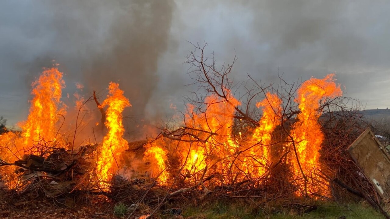 nfire.jpg