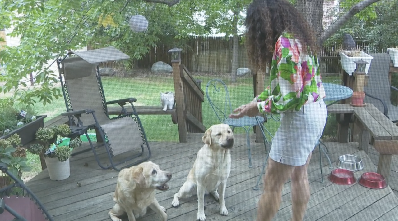 coloradans unable to get covid vaccine.png