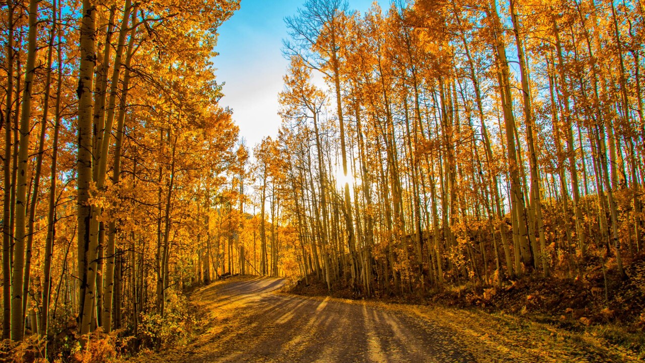 Owl Creek Pass