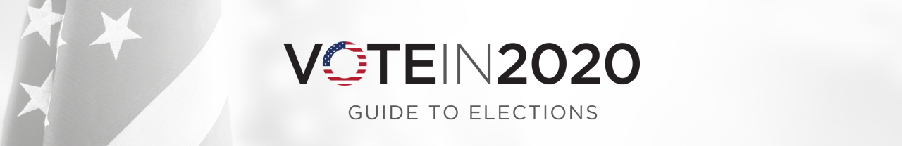 Election Guide 2020 - Banner