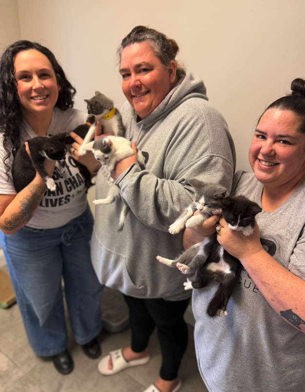 Screenshot 2026-04-02 at 1.26.51 PM.png