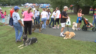 bark in park.png