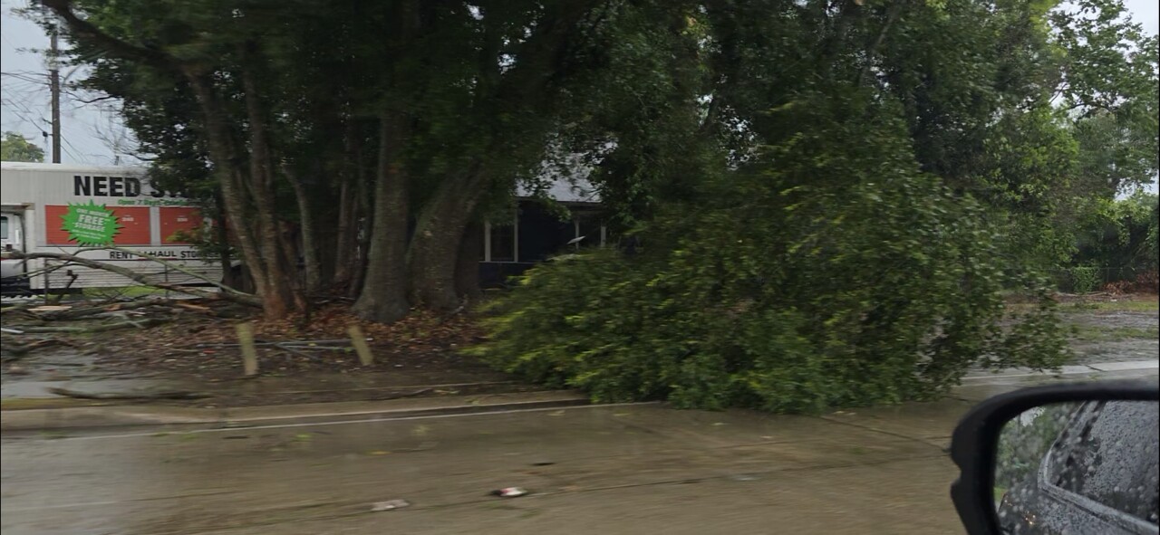 DOWNED TREE LA AVE 1