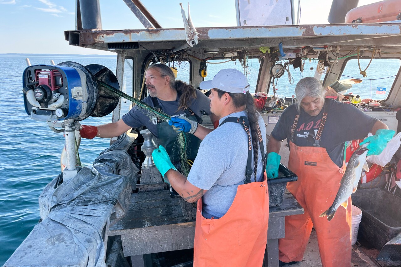 Whitefish Decline Fishing